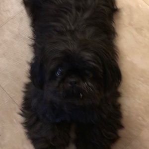 Meet your Posher, Phyllis